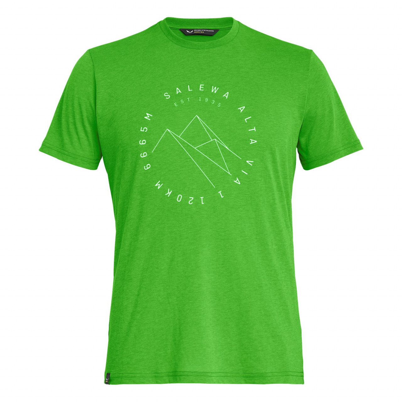 Camisetas Hombre Chile - Salewa Alta Via Drirelease® - Verde - XQUI-25681